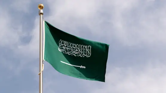 دعم رواتب السعوديين وبرامج دعم الأجور في السعودية 2026 image