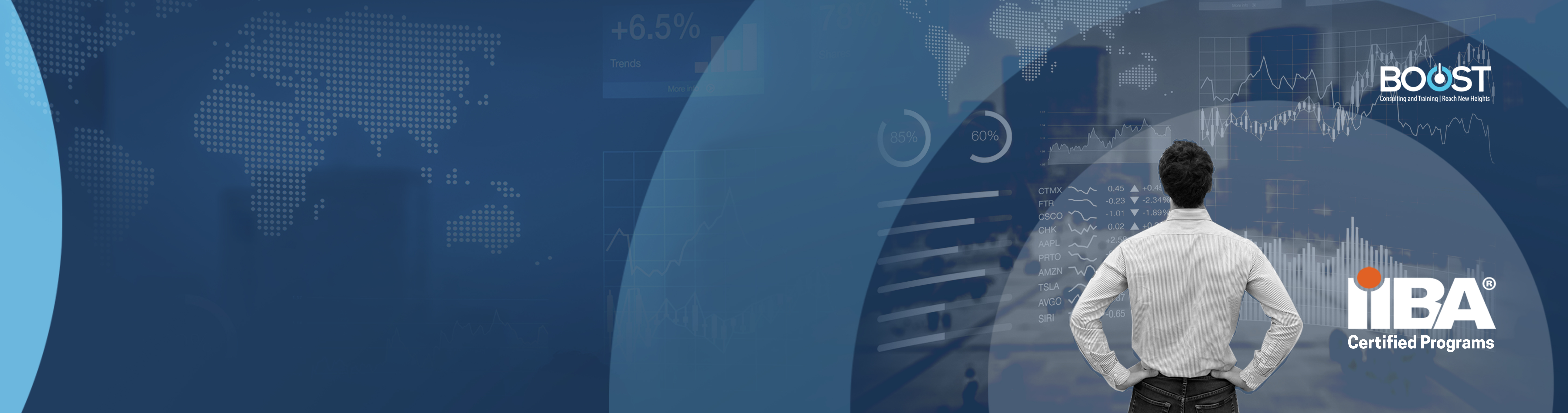 International Institute of Business Analysis(IIBA) International Institute of Business Analysis(IIBA)
