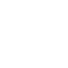 Administrative Data Inaccuracy icon