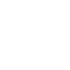 Data Management Inefficiencies icon