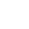 Legacy System Limitations icon