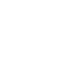 Engineering Project Governance Issues icon
