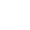 Inventory Management Challenges icon