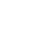 Security & Threat Management Challenges icon