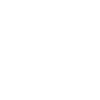 Stakeholder Engagement Challenges icon